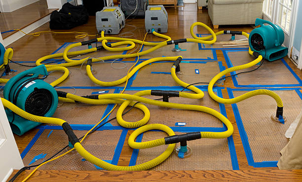 Professional Structural Drying And Dehumidification technician working in Westhampton, NY